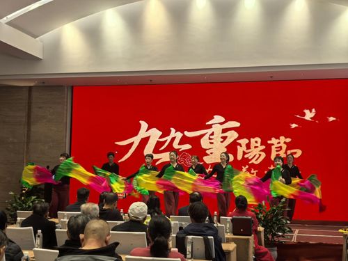 九華山祇民社區文藝匯演慶佳節 敬老溫情暖人心，文化藝術交流活動策劃