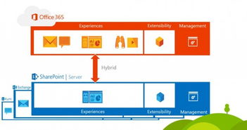 微軟宣布年底前發(fā)布SharePoint Server 2016，推動企業(yè)辦公平臺升級