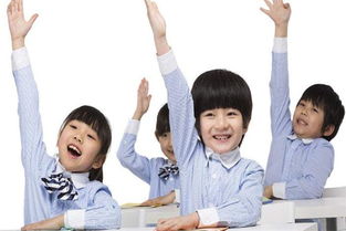 晨樹教育加盟優(yōu)勢(shì)